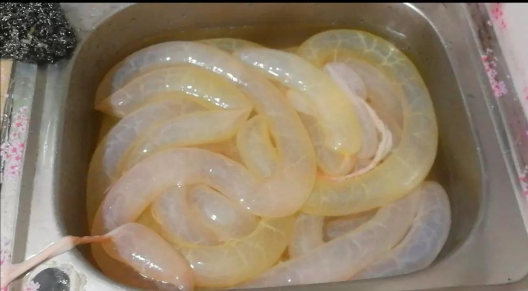 第一次灌香肠配方,第一次自己动手灌腊肠