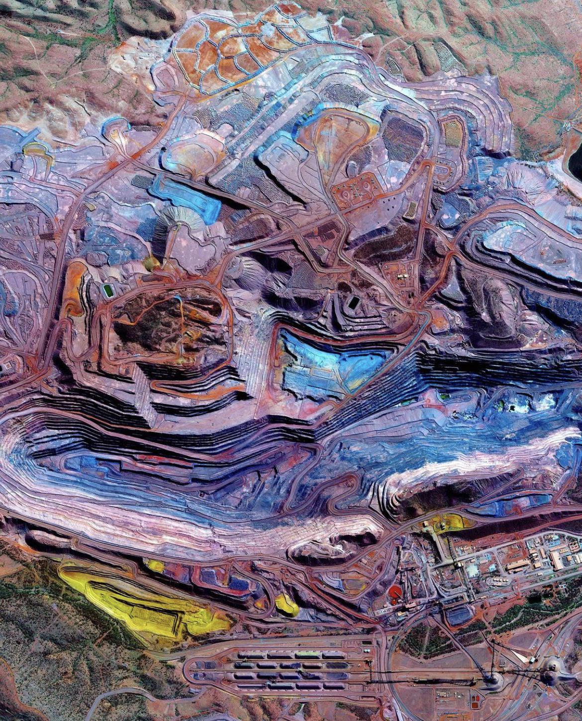 在澳大利亚你可以发现什么,澳大利亚到处能看到动物