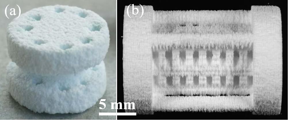 一篇文章带你了解陶瓷3d打印,陶瓷3d打印技术的成型过程