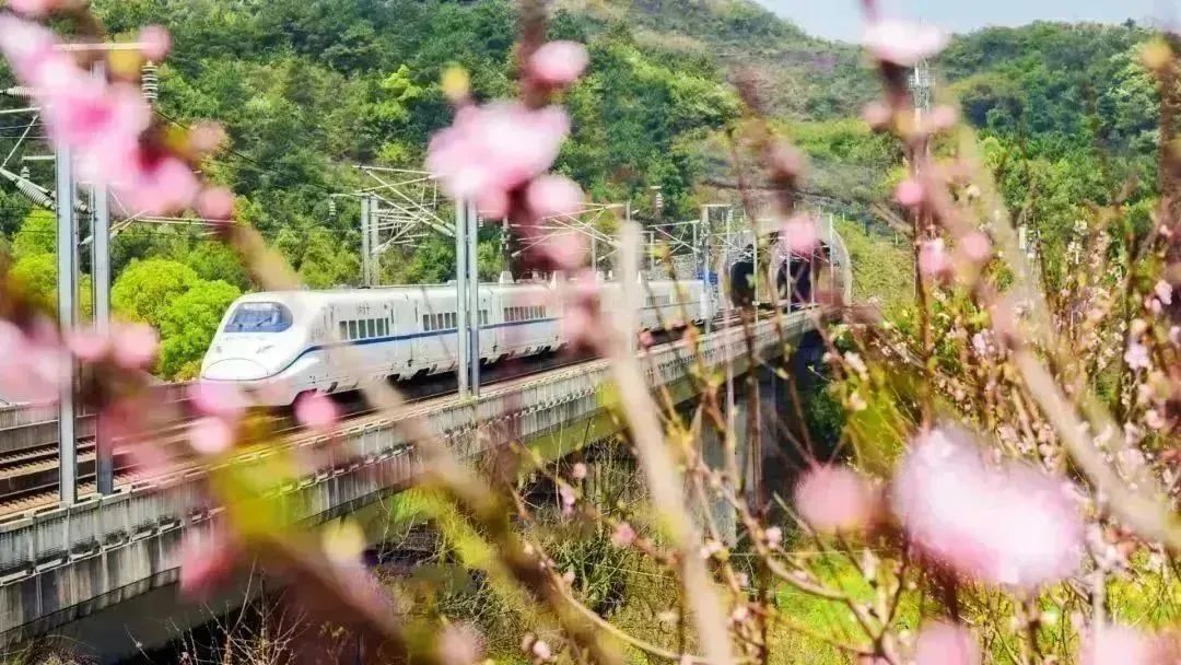 走起一起去看日出,开往春天的列车来了一起去打卡吧