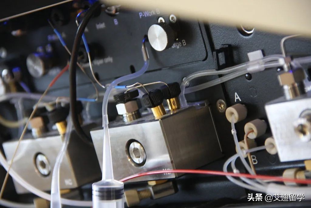 为什么选择都柏林城市大学读计算机？工作机会多，工资水平高