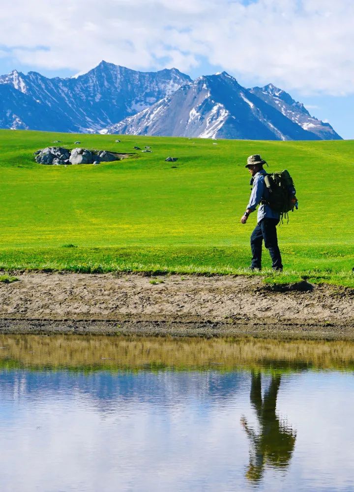 那拉提空中草原雪景照片,大草原的壮丽雪景图