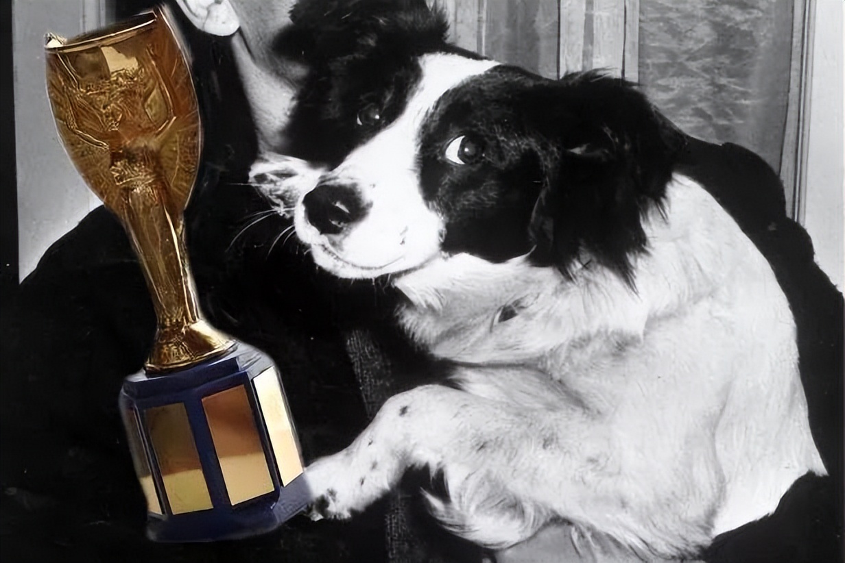 为什么大力神杯只有一座,大力神杯原本叫耐克杯