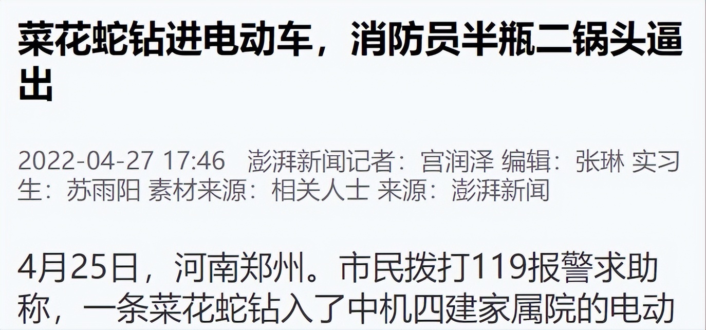 蛇泡酒一年后咬死人什么原理,蛇泡酒10年后咬死人是真的吗