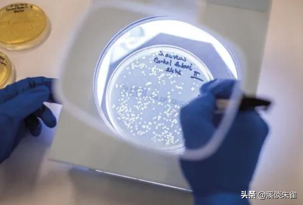 牛流行性腹泻疫苗免疫结果,肠道病毒疫苗终身受益吗