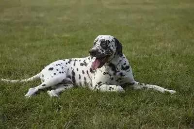 一个冷知识克罗地亚,冷知识克罗地亚点球输给中国