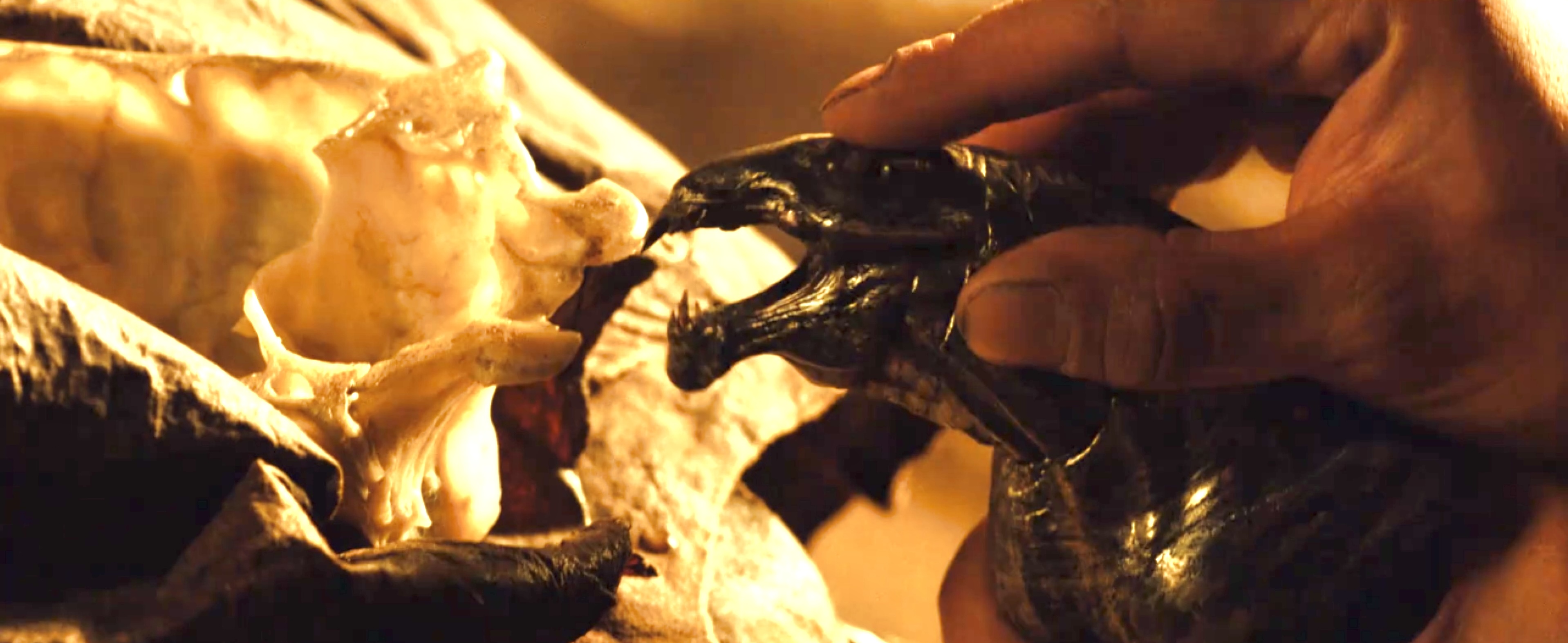 外星人怪兽介绍,传奇怪兽宇宙怪兽介绍