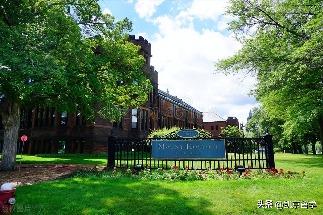 文科生的学术和职业规划,文科生在学校里的职业规划