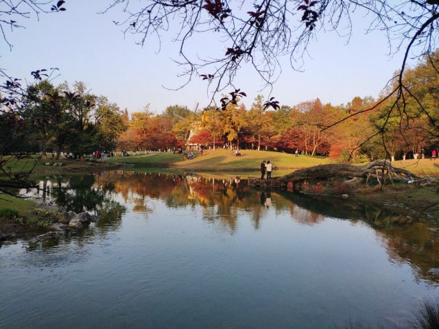 杭州周边赏秋好去处,杭州赏秋最佳攻略