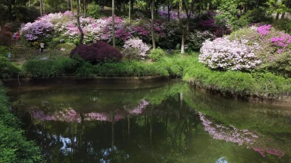 桂林雁山猫儿山,广州出发6天最适宜赏秋旅游