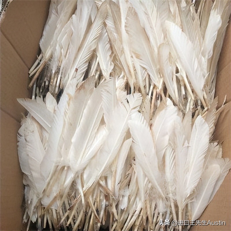 水洗鸭绒进口清关,天津进口水洗鸭绒关税多少
