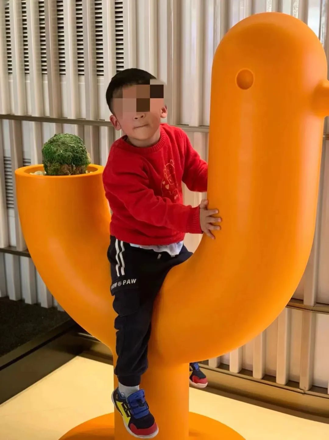 卡介苗最严重的异常反应,令人感染的肺炎疫苗