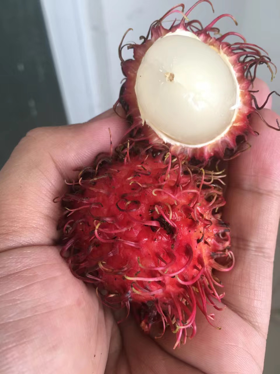 青山印尼项目,青山印尼钢铁厂