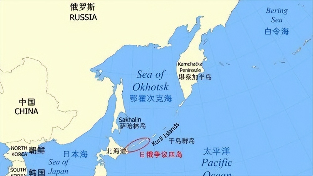 德乌冲突启示,德俄乌冲突最新消息