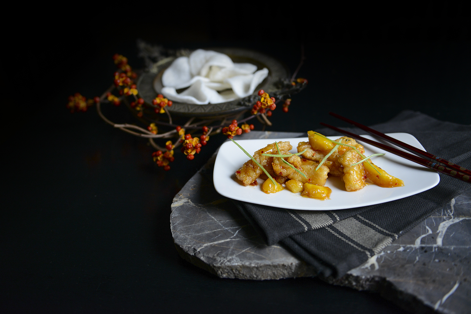 专业上门拍菜谱广州,菜谱摄影拍摄