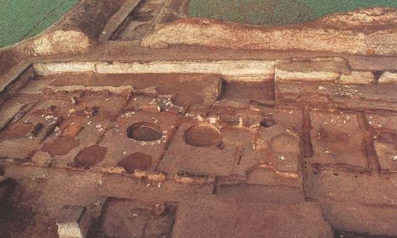 阿杜走遍中国蒙城,走遍安徽蒙城