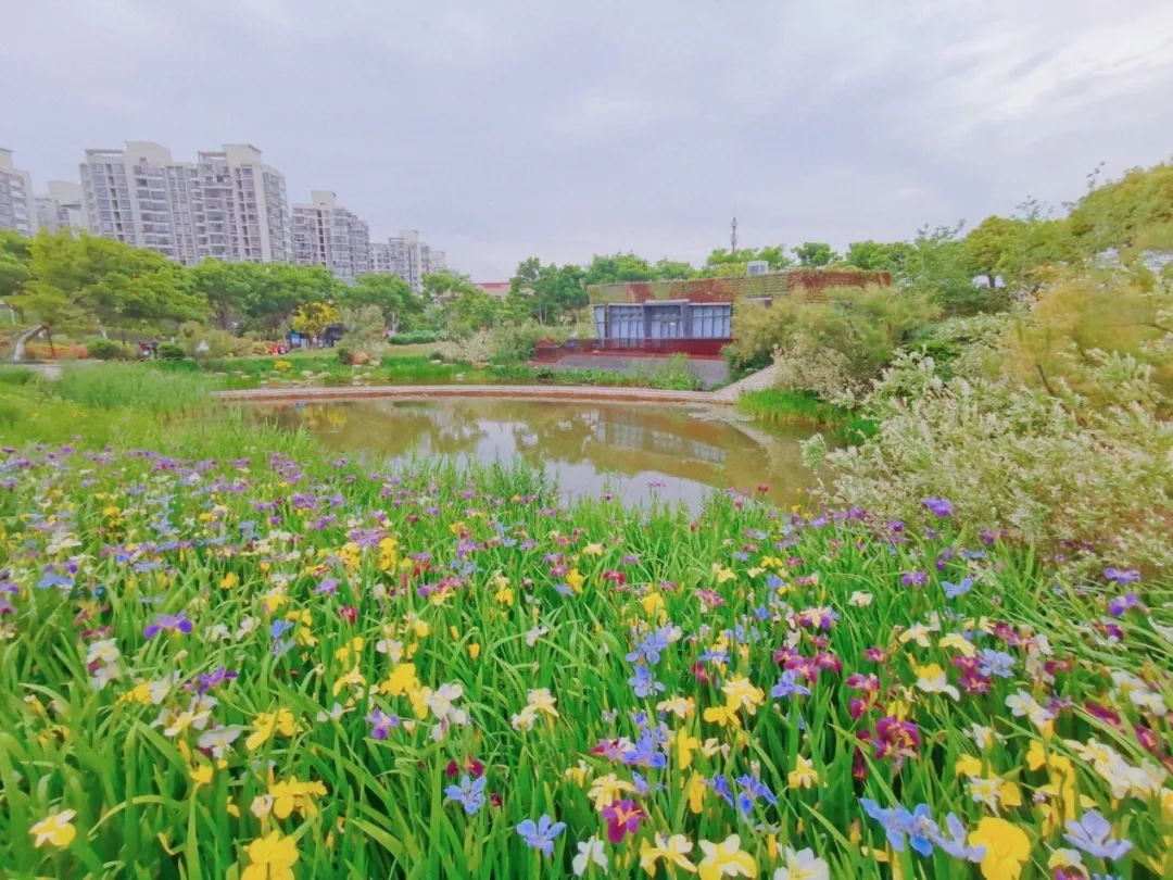 在飞驰人生中我懂得了什么,在飞驰的时光里