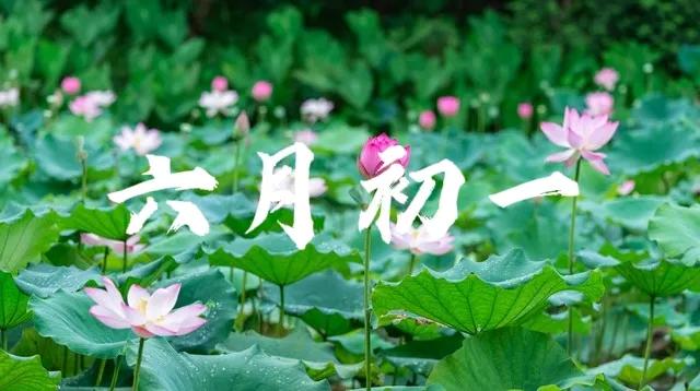 三伏热不热要看六月初六吗,阳历六月热不热