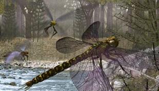 铝箔纸全部包住手机能隔绝信号吗？|No.351