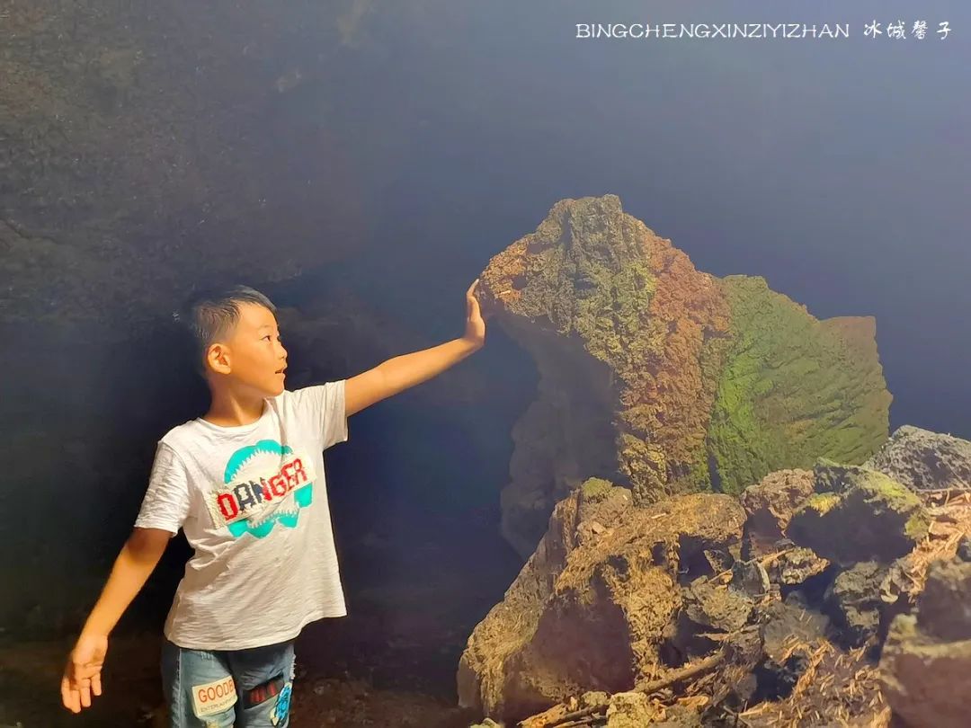 火山口国家森林公园与地下森林,清凉度夏探秘地下森林