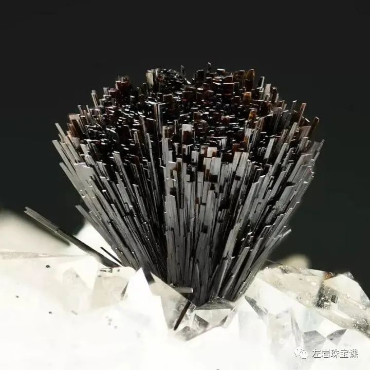 左岩的简介,左岩的最新图片