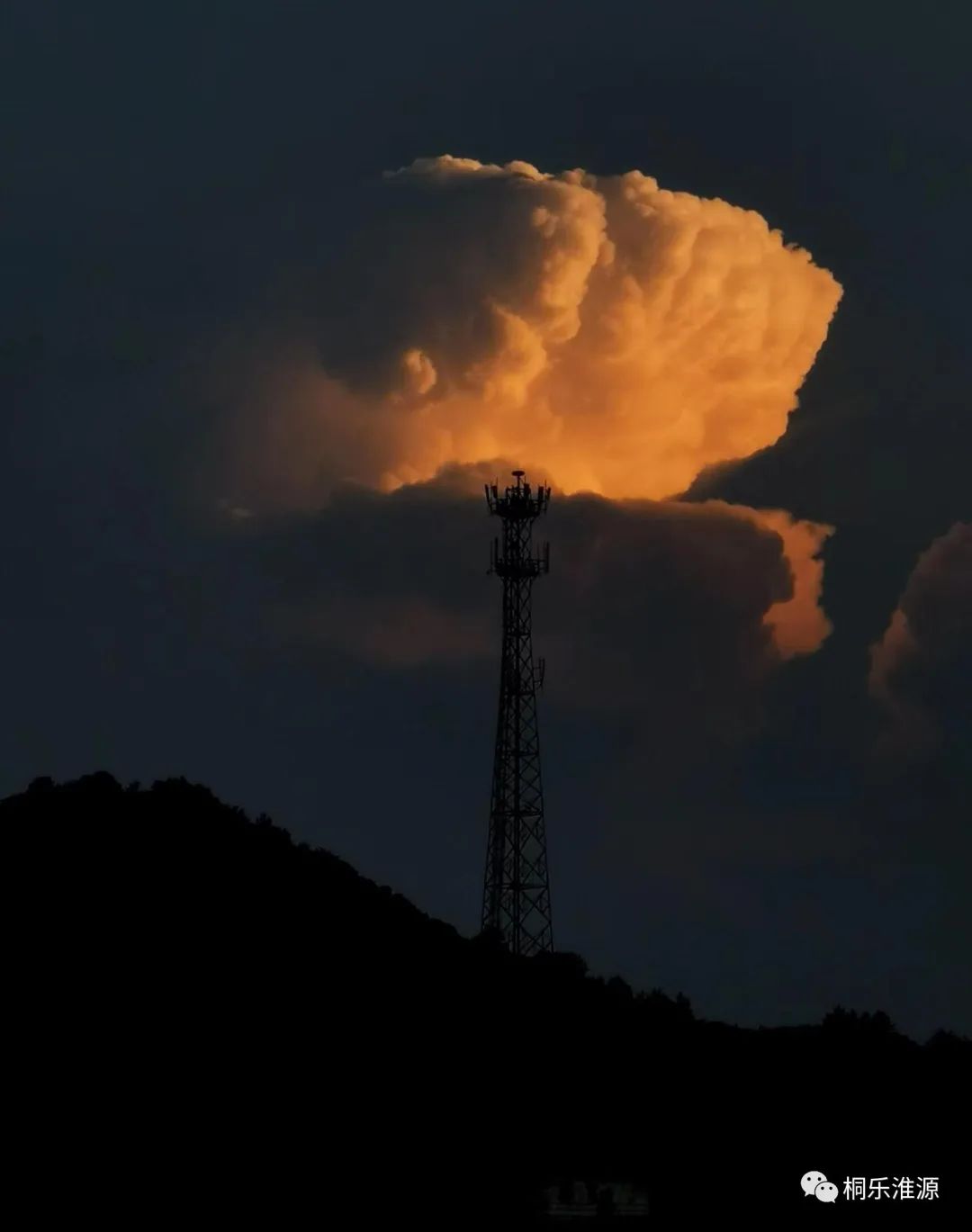 女人就怕嫁错郎原声,女人嫁错郎是什么体验