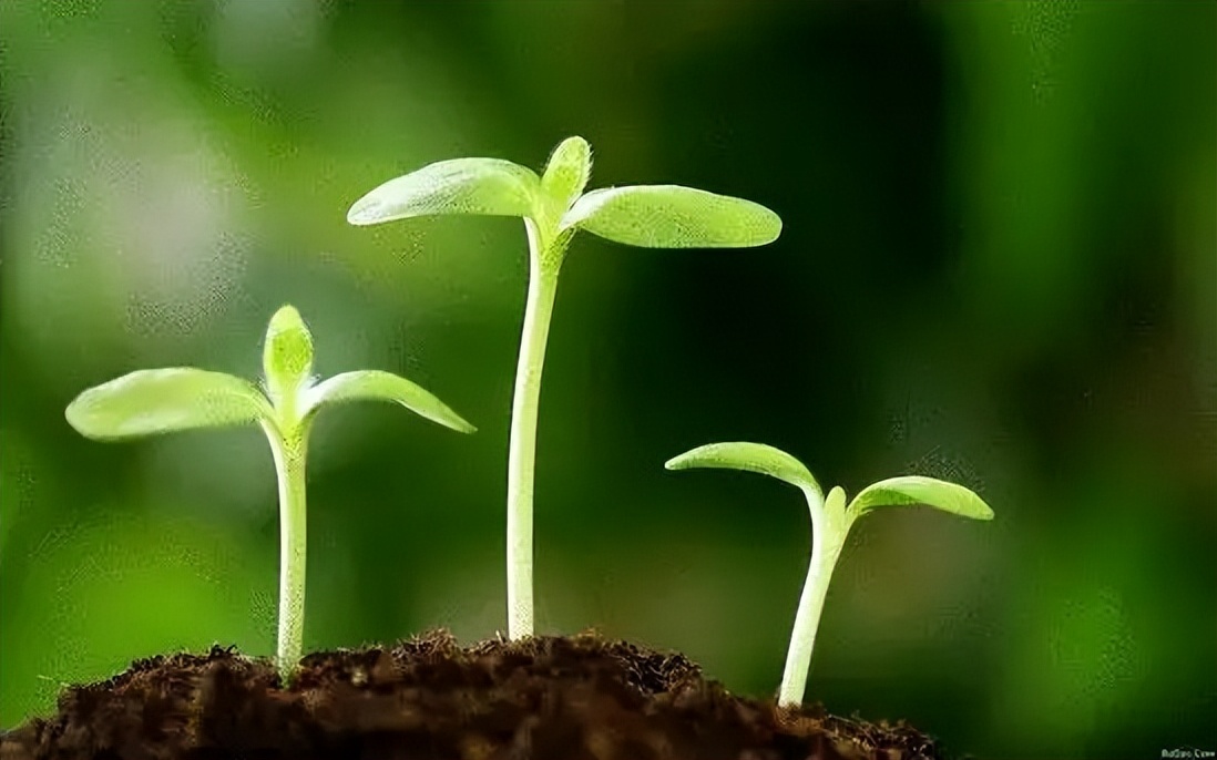 春季宝宝腹泻高发怎么回事,春季宝宝腹泻什么原因