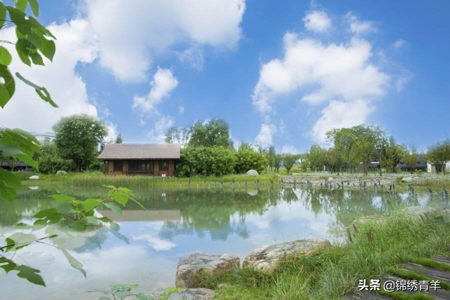 青羊区最美公园景点在哪里,5月份成都市区最美公园