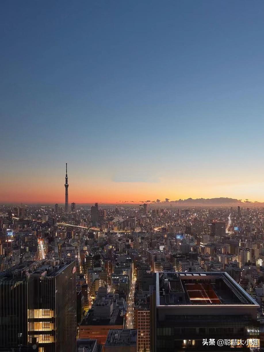 日本樱花花海浪漫之旅,日本旅游看樱花之旅攻略