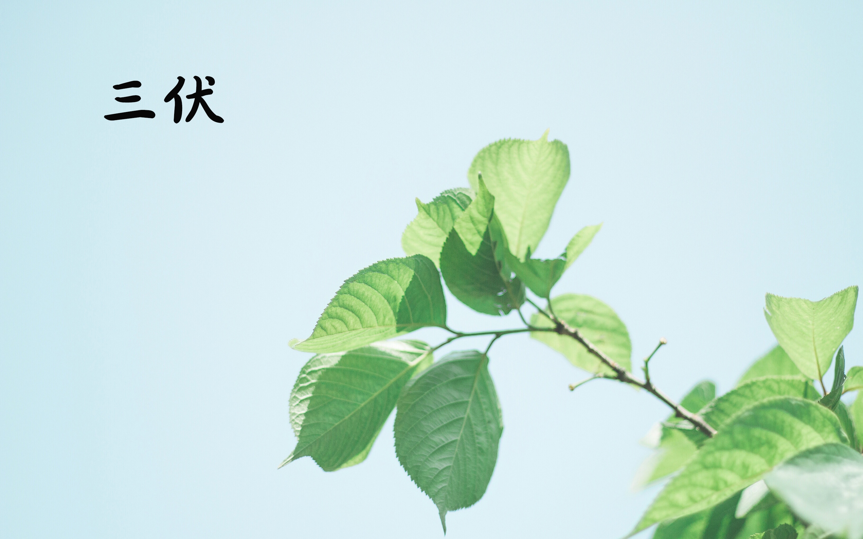 吃6种瓜清热解毒,小暑养生常吃这五瓜清凉又泻火