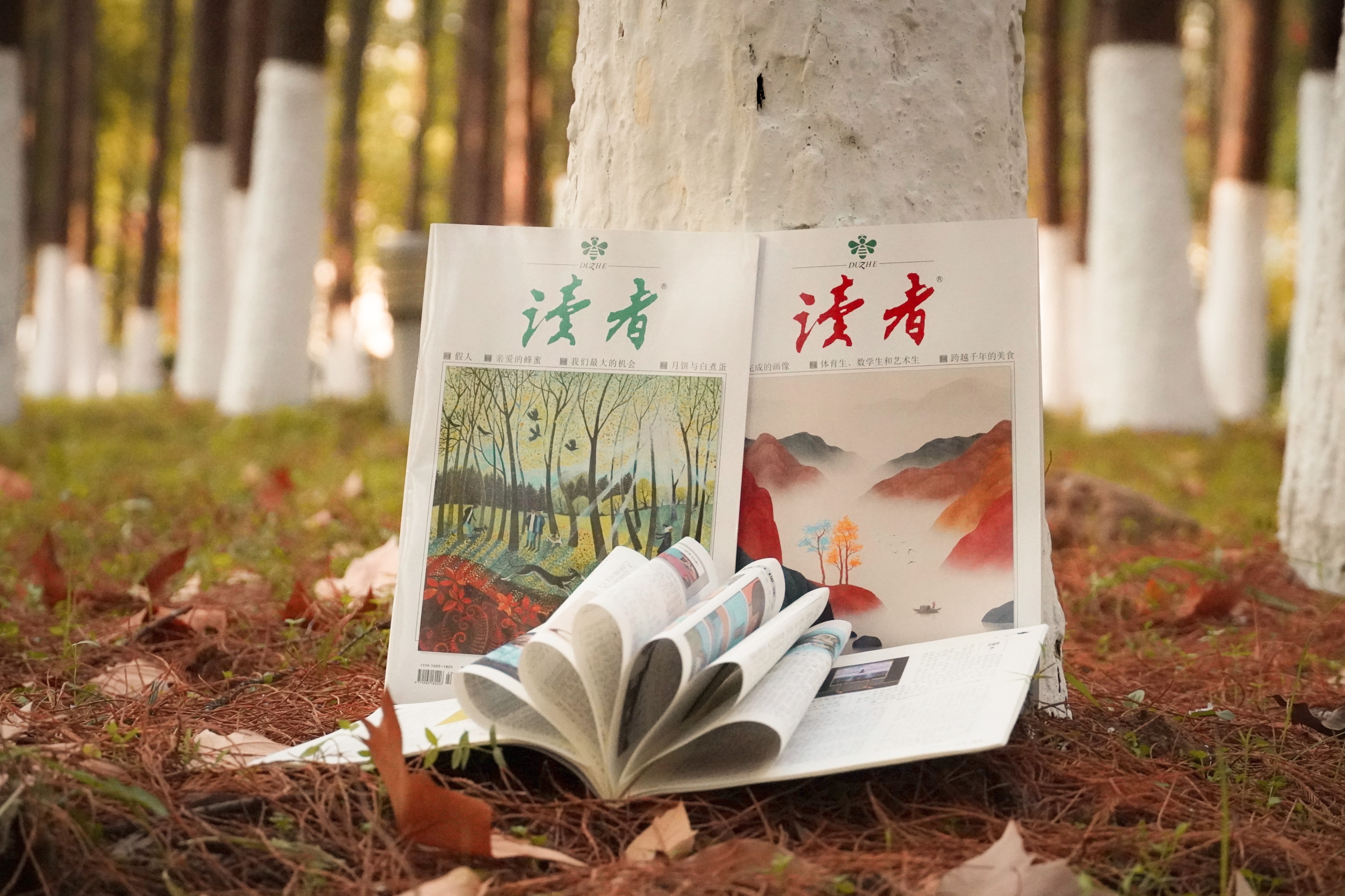 这是你熟悉的《读者》，也是你不了解的《读者》