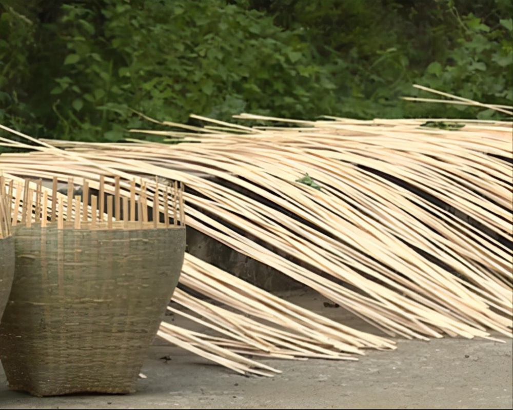 乡土散文,乡土散文大全