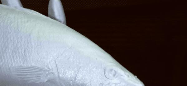 假食品模型视频,这些假食物都是人工合成的