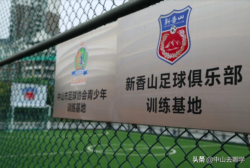 在室内足球场踢足球,在足球场里踢足球