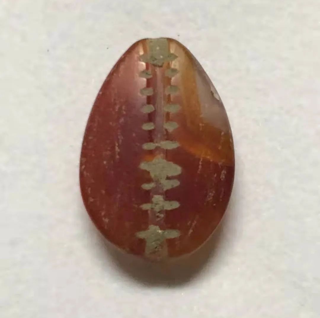 天然贝币真品价格,原始贝币发展史