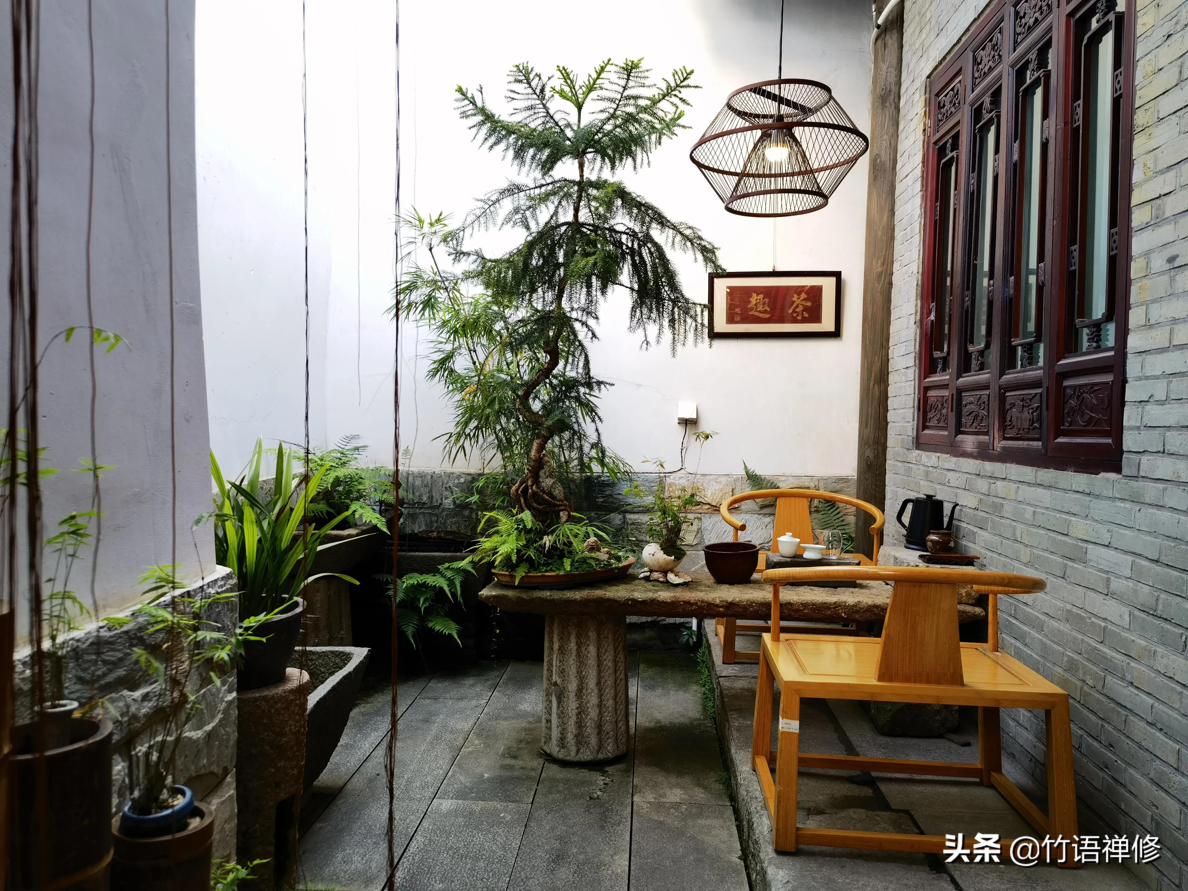 退休后理想中的农家小院,建一个小院过悠闲生活