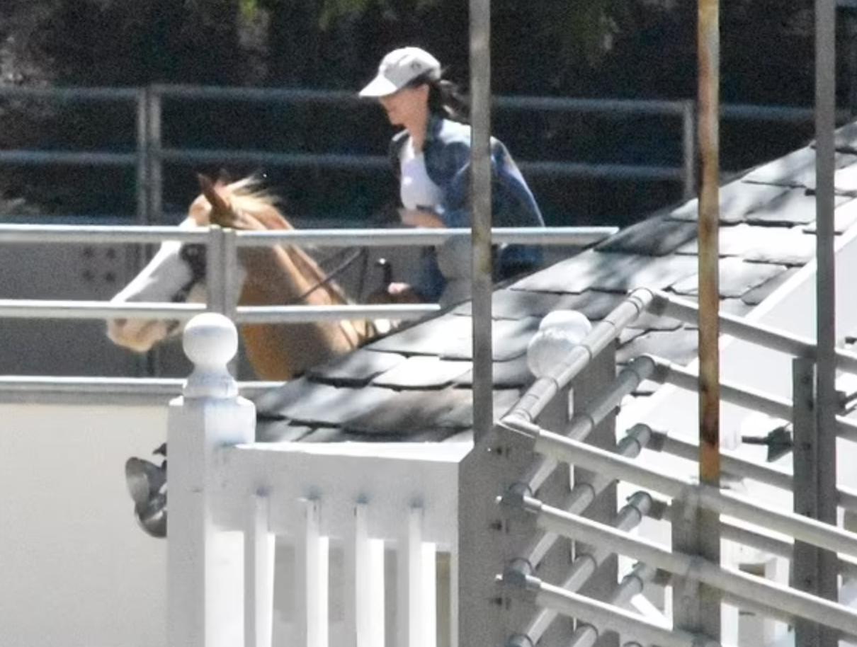 骑着爱情的小马，肯豆和坏兔子开始热恋的颠簸，甜蜜情侣祝福多多
