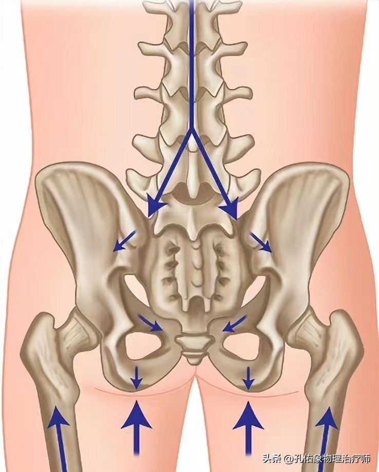 从臀部到小腿麻木疼痛怎么回事,臀部小腿酸胀是怎么回事