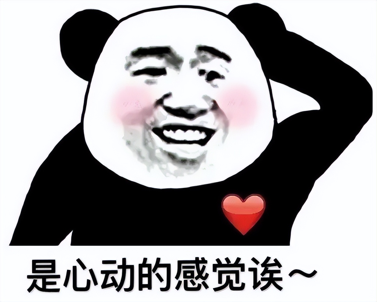 难度预警！这8所「学霸最喜欢」的美国大学，据说录了才知辛酸…