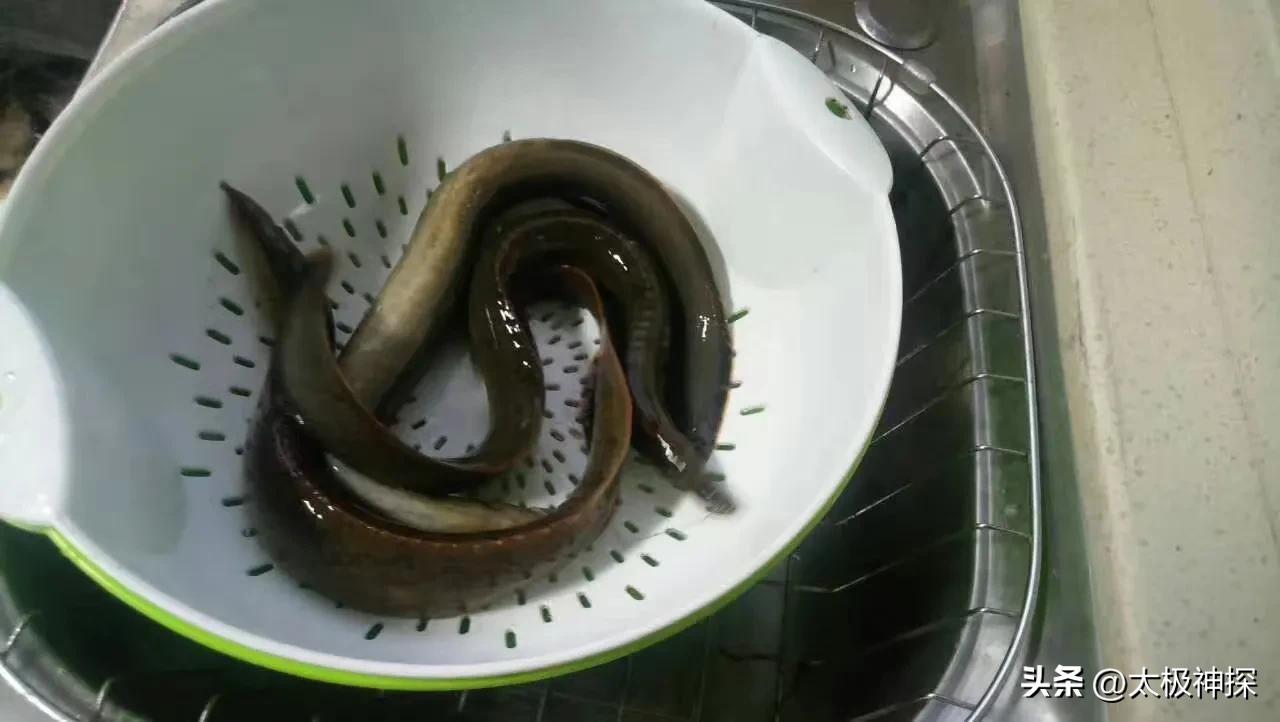 我理想的退休生活,退休后最理想的生活是什么