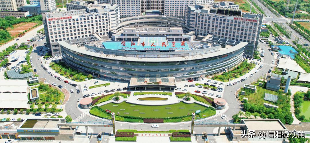 夏日限定!带您沉浸式体验信阳市人民医院的绿意芳香