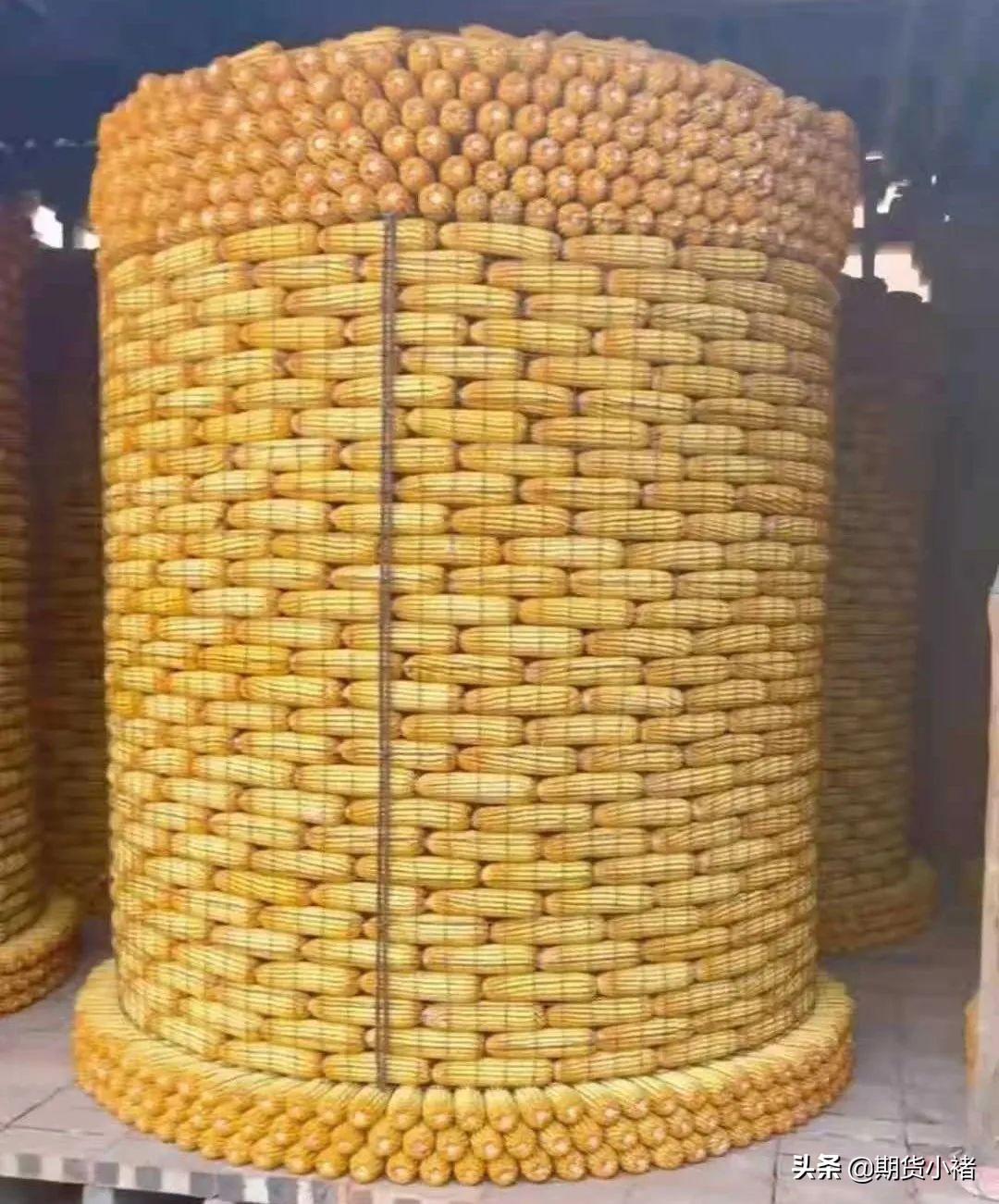 玉米期货供需最新消息,玉米价格再次掀起高潮