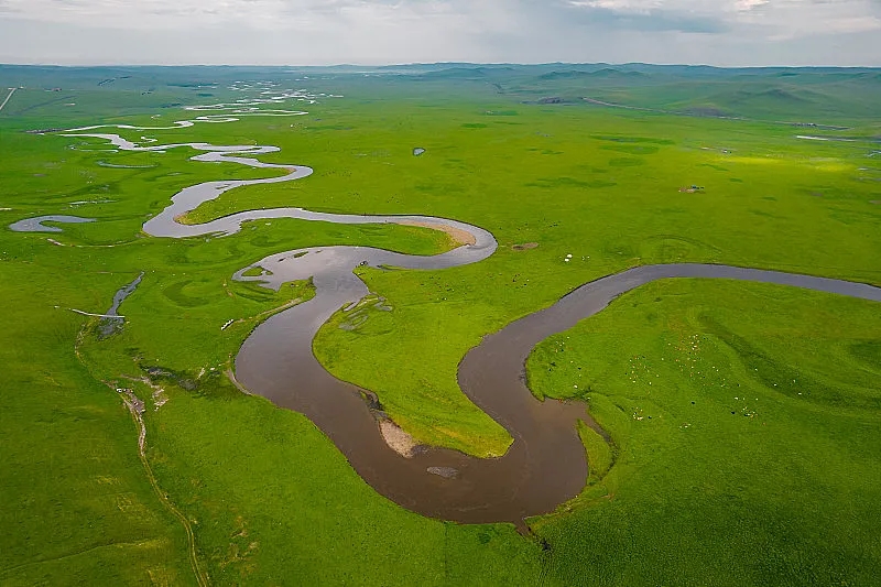 我国必去打卡的草原,呼伦贝尔值得去的草原