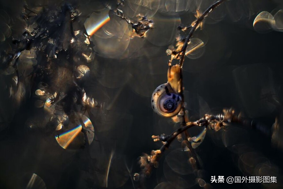 最美的景色秋天照片高清,夏天和秋天的绝美照片