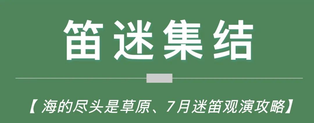 2023海拉尔草原迷笛音乐节,海拉尔迷笛音乐节8月
