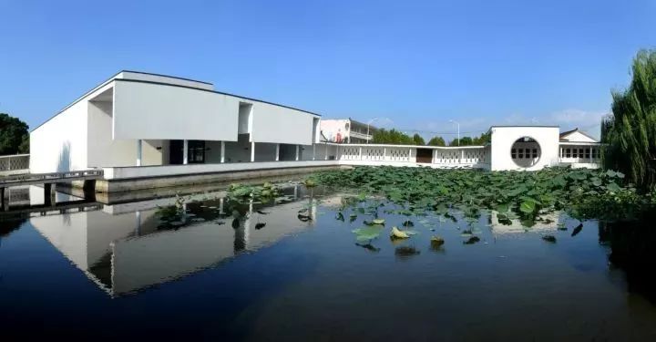 乡村振兴100讲全集,100个经典乡村振兴案例