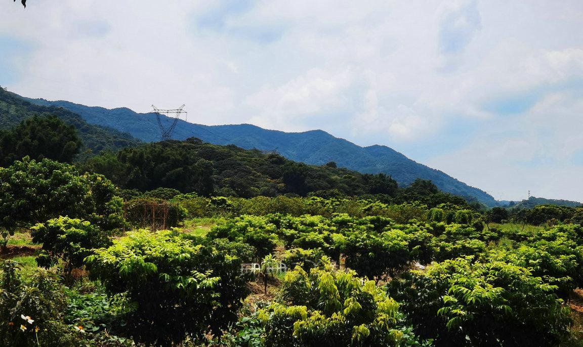 从化山清水秀,从化最值得看古村景点
