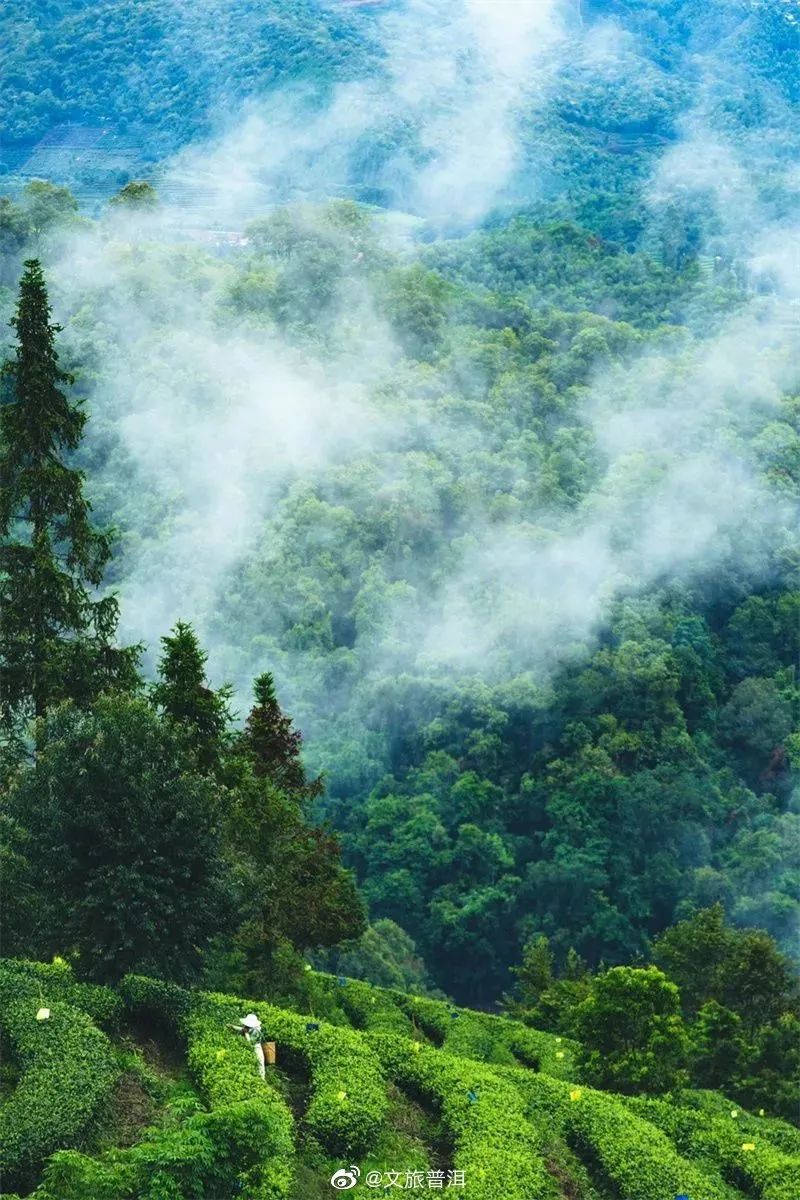 云南旅居最理想的避寒地方,云南适合旅居的小众古镇