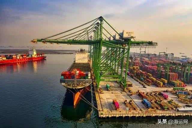 空箱压港堆积如山，集卡排长队，无单可接！大势已去？