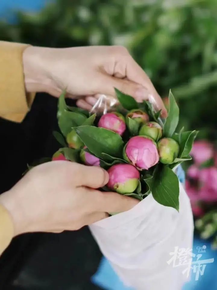 杭州姑娘在菏泽连住5天，只为抢到……